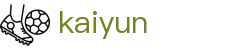 kaiyun（中国）官方首页 - kaiyun.com